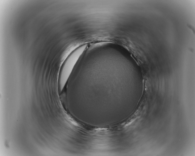 X0000097760052200803211723