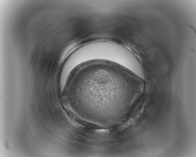 X0000097760053200803211723