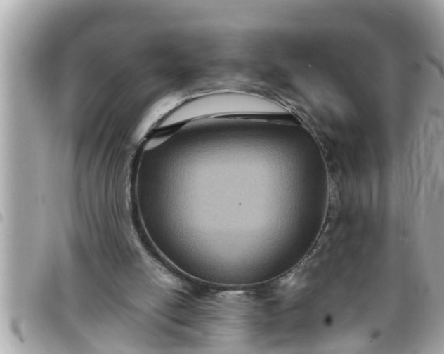 X0000097760054200803211723