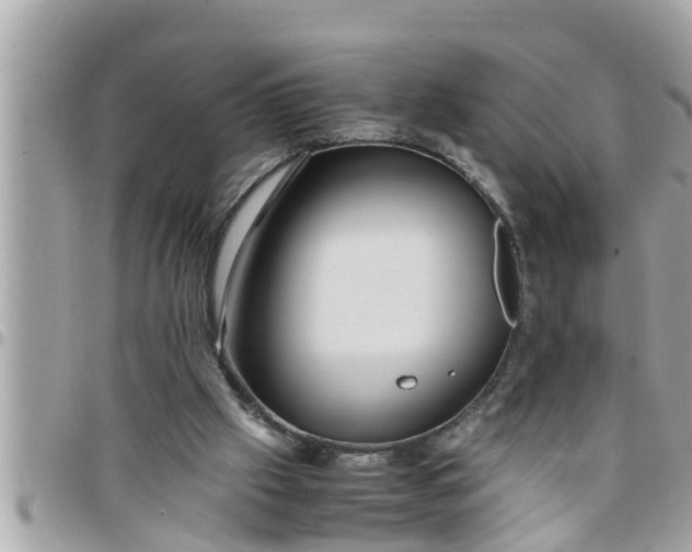 X0000097760057200803211723