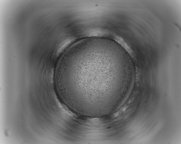 X0000097760058200803211723