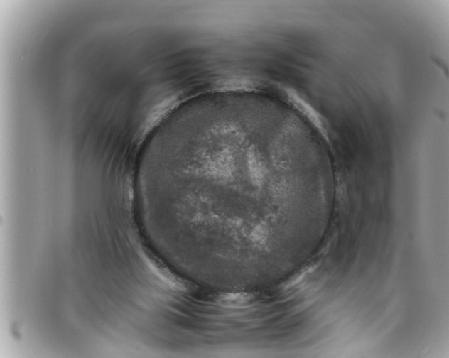 X0000097760059200803211723