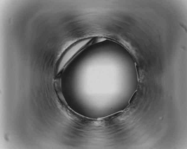 X0000097760060200803211723