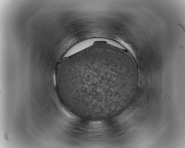 X0000097760061200803211723