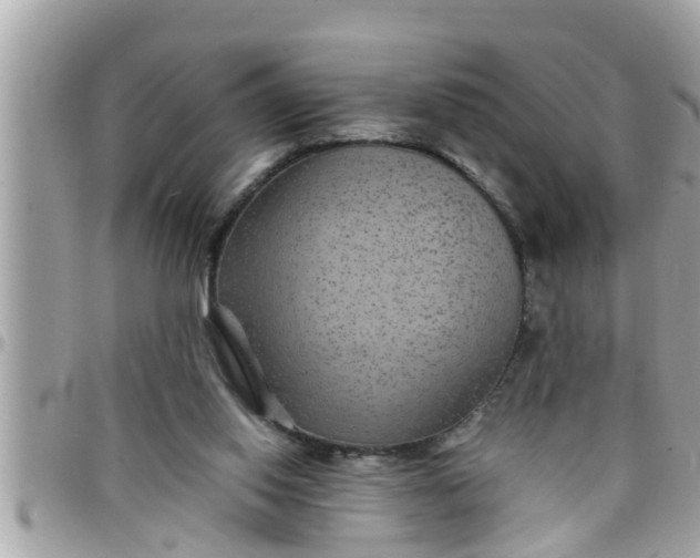 X0000097760062200803211723