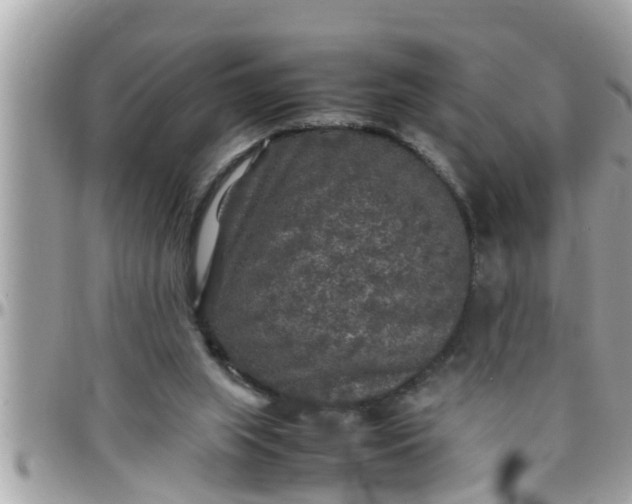 X0000097760063200803211723