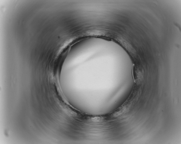 X0000097760064200803211723