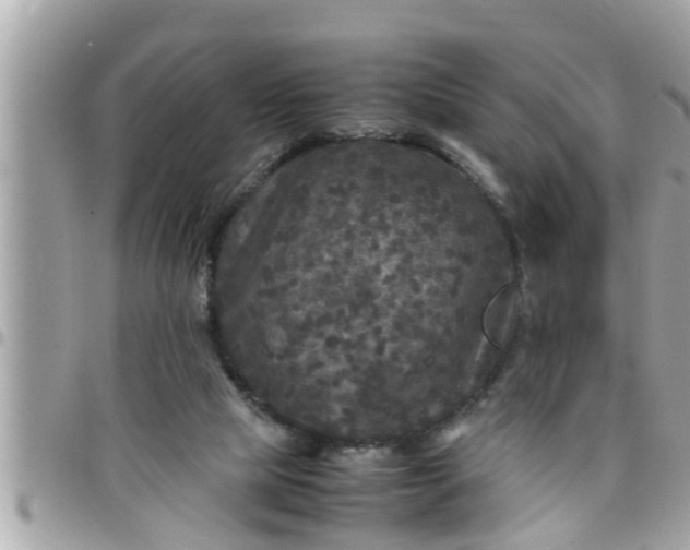 X0000097760065200803211723