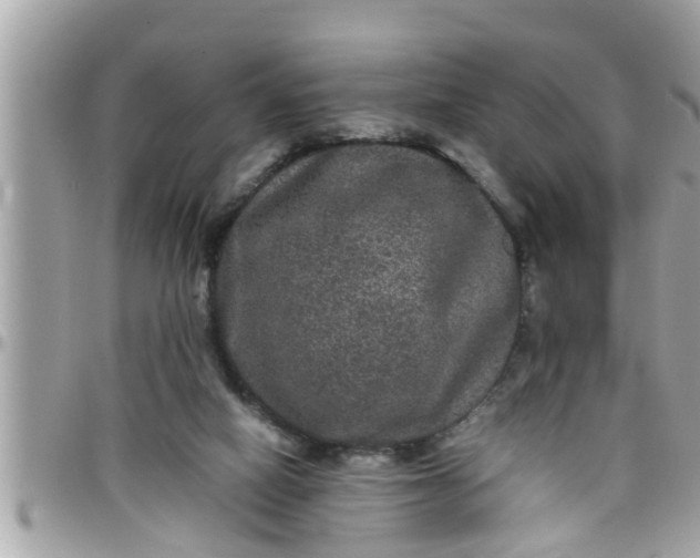 X0000097760066200803211723