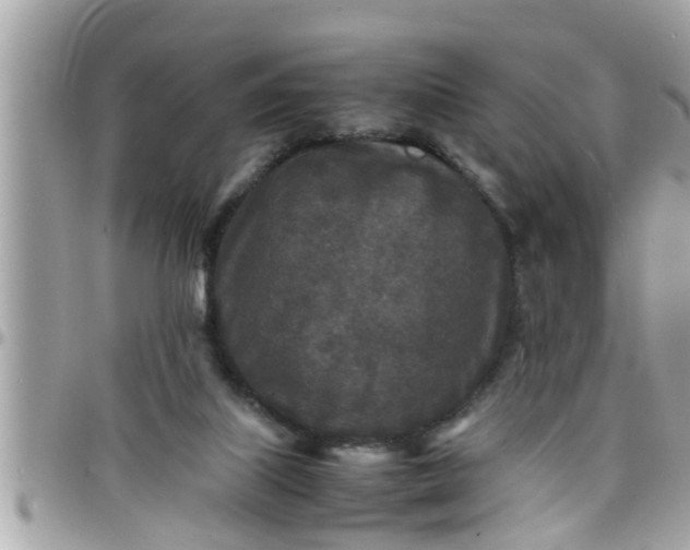 X0000097760067200803211723