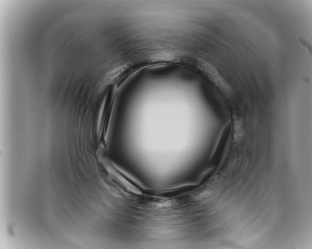 X0000097760068200803211723