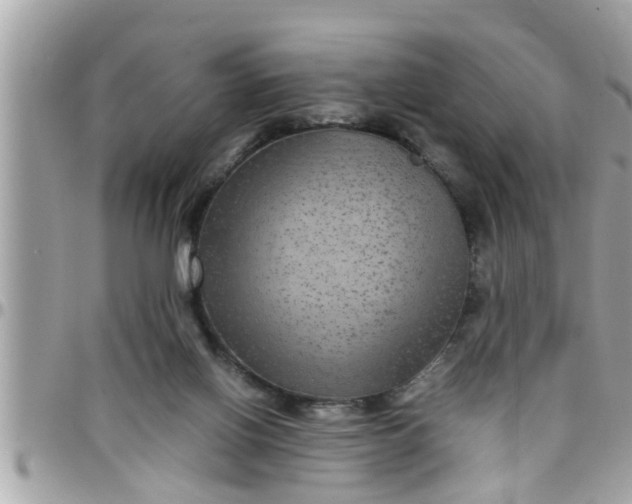 X0000097760070200803211723