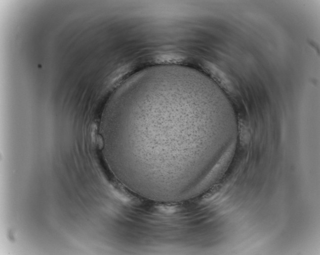 X0000097760071200803211723