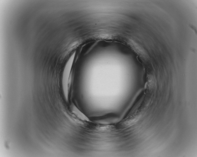 X0000097760072200803211723