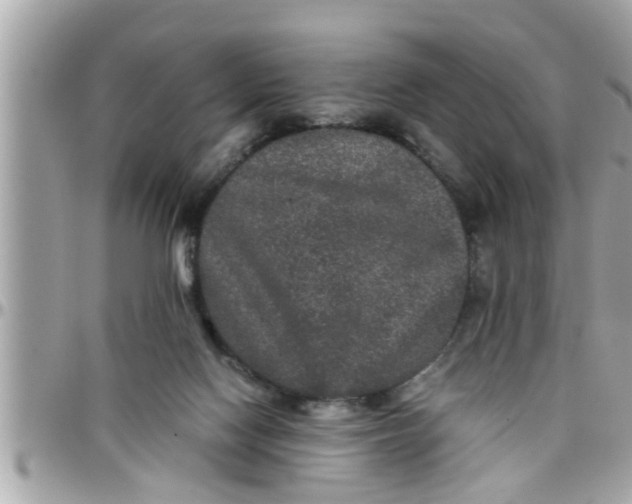 X0000097760074200803211723