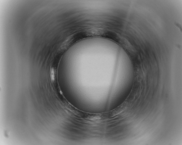 X0000097760075200803211723