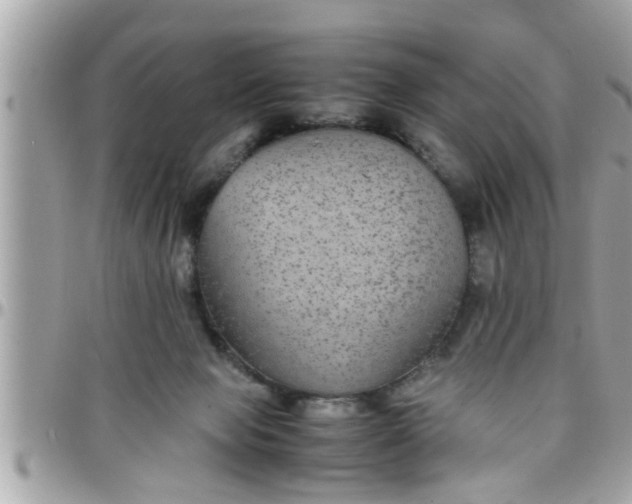 X0000097760077200803211723