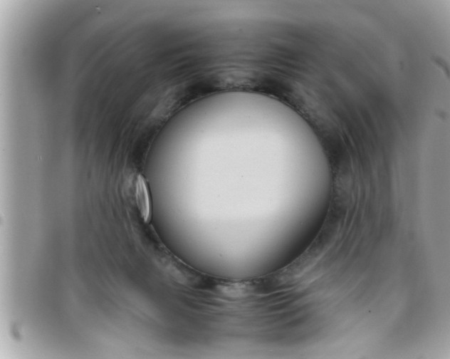 X0000097760079200803211723