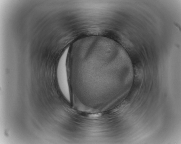 X0000097760080200803211723