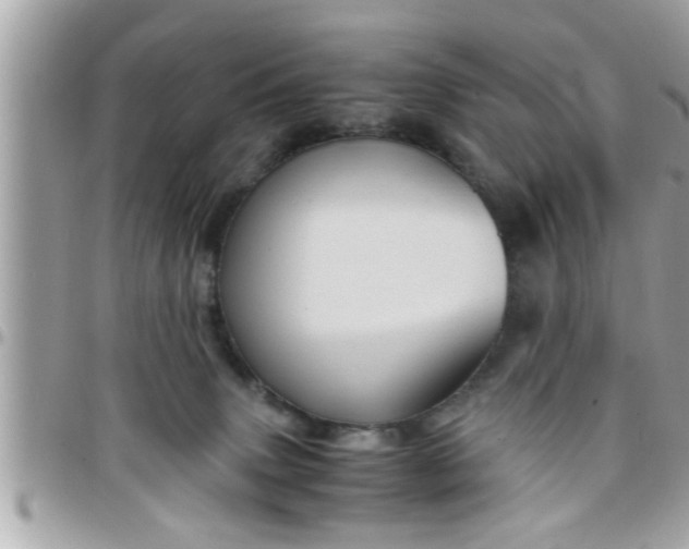 X0000097760083200803211723