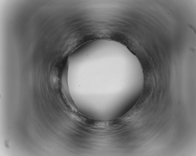 X0000097760084200803211723