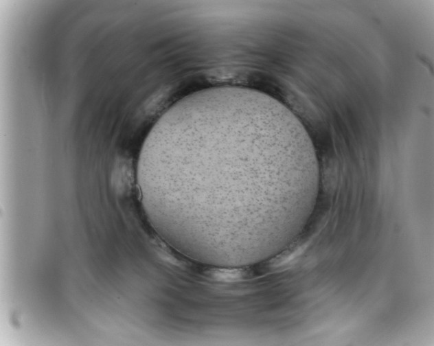 X0000097760085200803211723