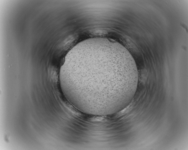 X0000097760086200803211723