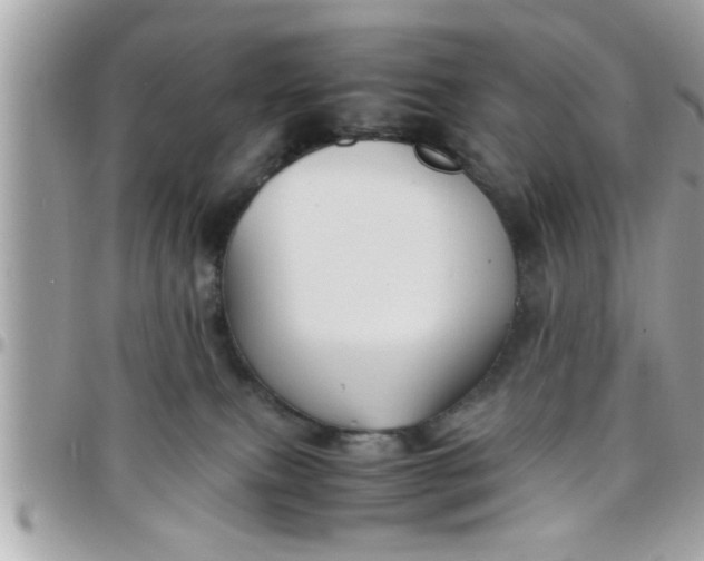 X0000097760087200803211723