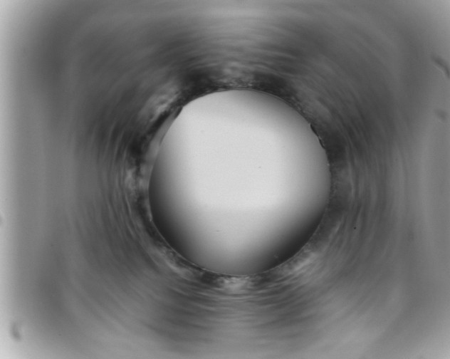 X0000097760088200803211723