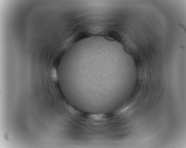 X0000097760089200803211723