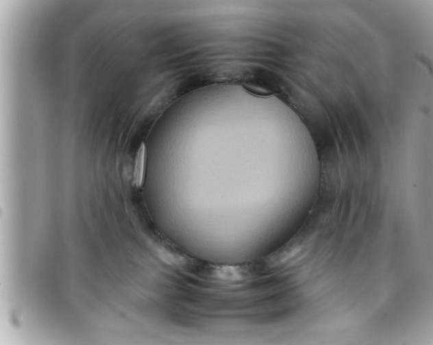 X0000097760091200803211723