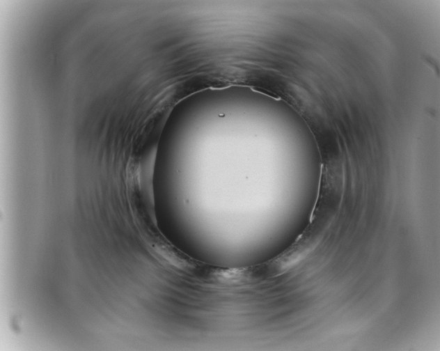 X0000097760092200803211723