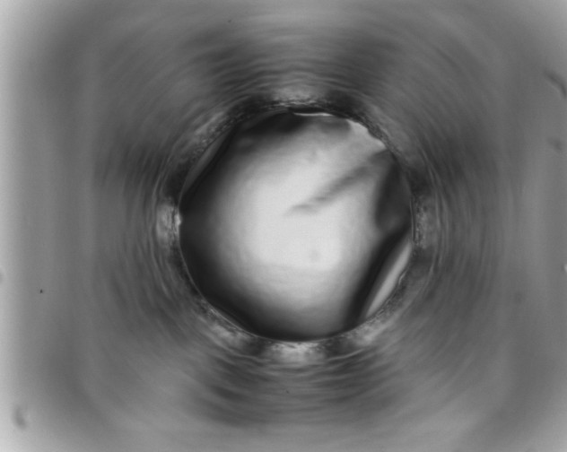 X0000097760093200803211723