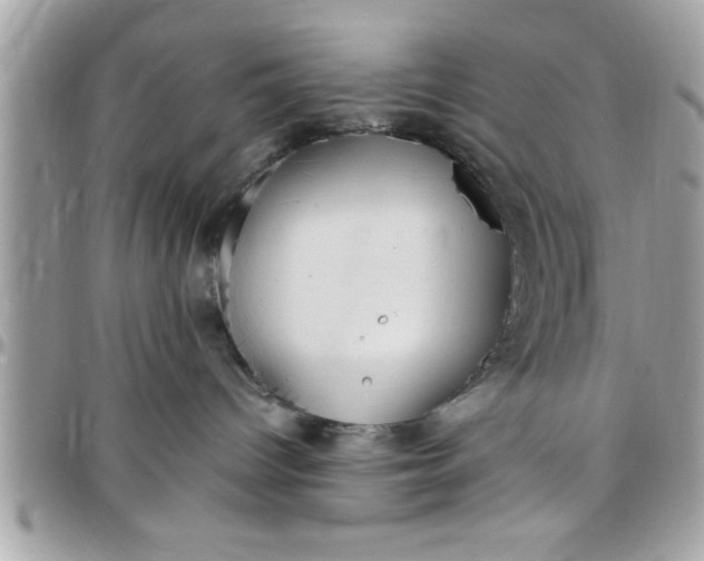 X0000097760096200803211723