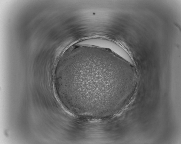 X0000097760097200803211723