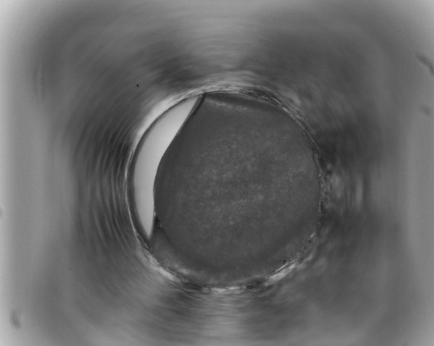 X0000097760100200803211723