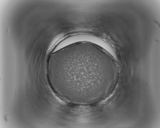 X0000097760101200803211723