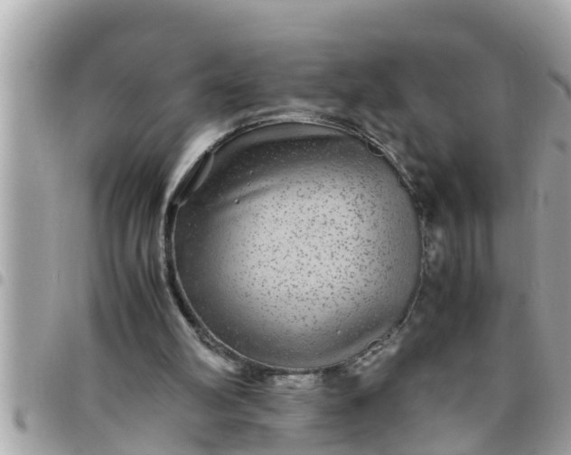 X0000097760102200803211723