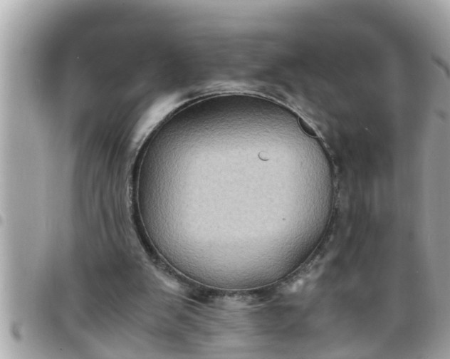 X0000097760103200803211723