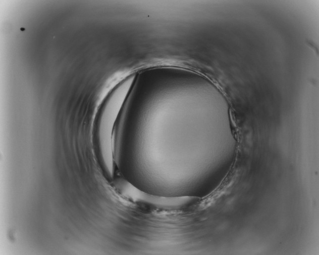 X0000097760104200803211723