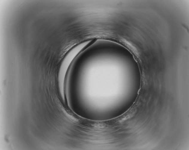 X0000097760105200803211723