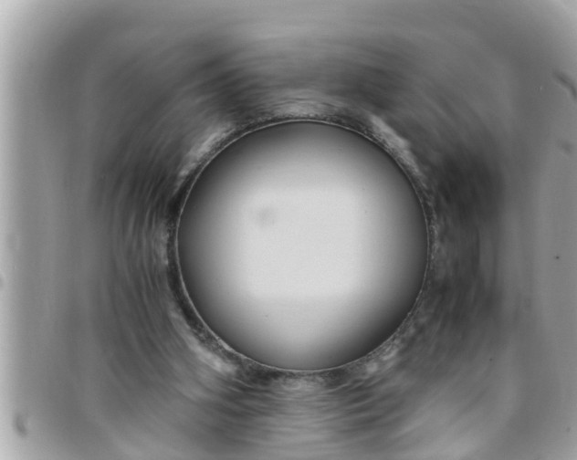 X0000097760106200803211723