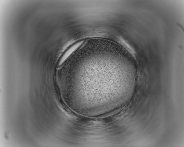 X0000097760107200803211723