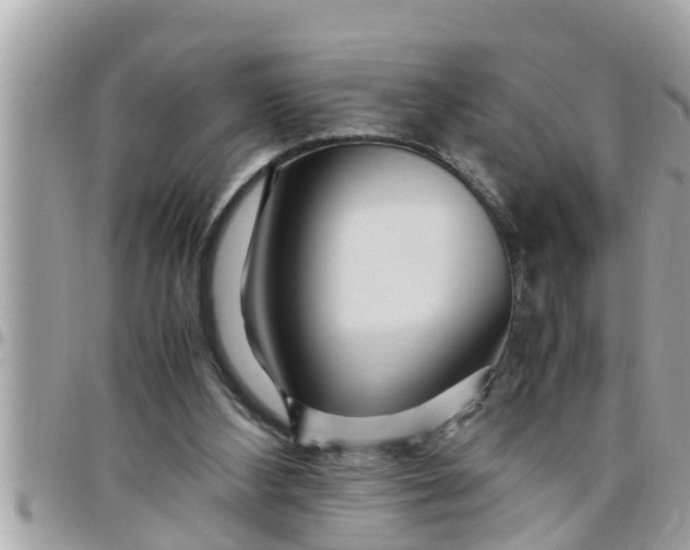 X0000097760108200803211723