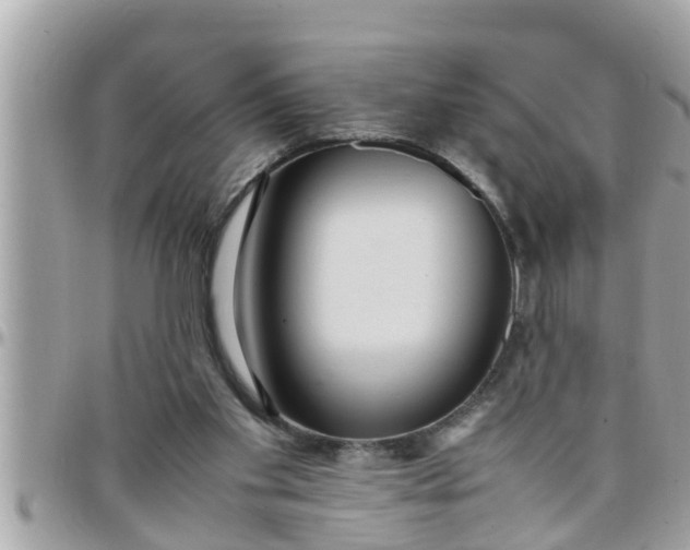 X0000097760109200803211723