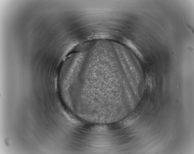 X0000097760110200803211723