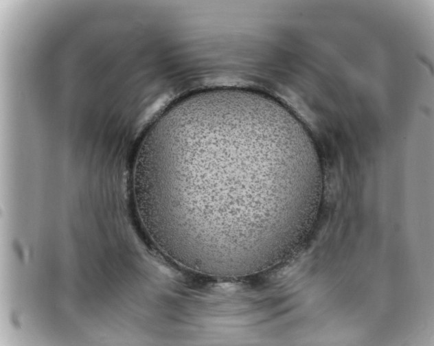 X0000097760111200803211723