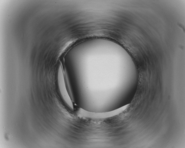 X0000097760112200803211723