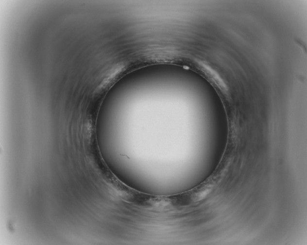 X0000097760113200803211723