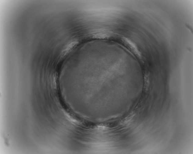 X0000097760114200803211723